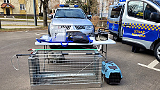 Eko-Patrol i nowe programy. Czas na kolejną kadencję Zespołu ds. Zwierząt Eko-Patrol i nowe programy. Czas na kolejną kadencję Zespołu ds. Zwierząt